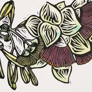 Botanical Blooms in Colour